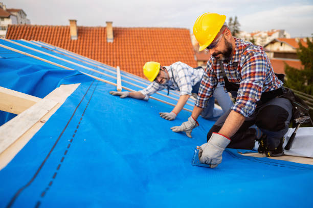 Best Storm Damage Roof Repair  in Shelton, CT